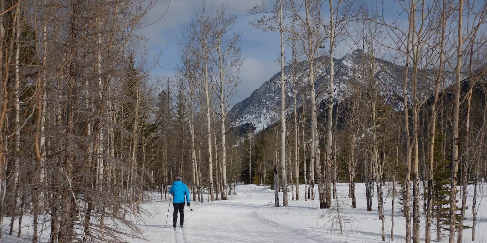 Cross country skiing at Ribbon Creek
