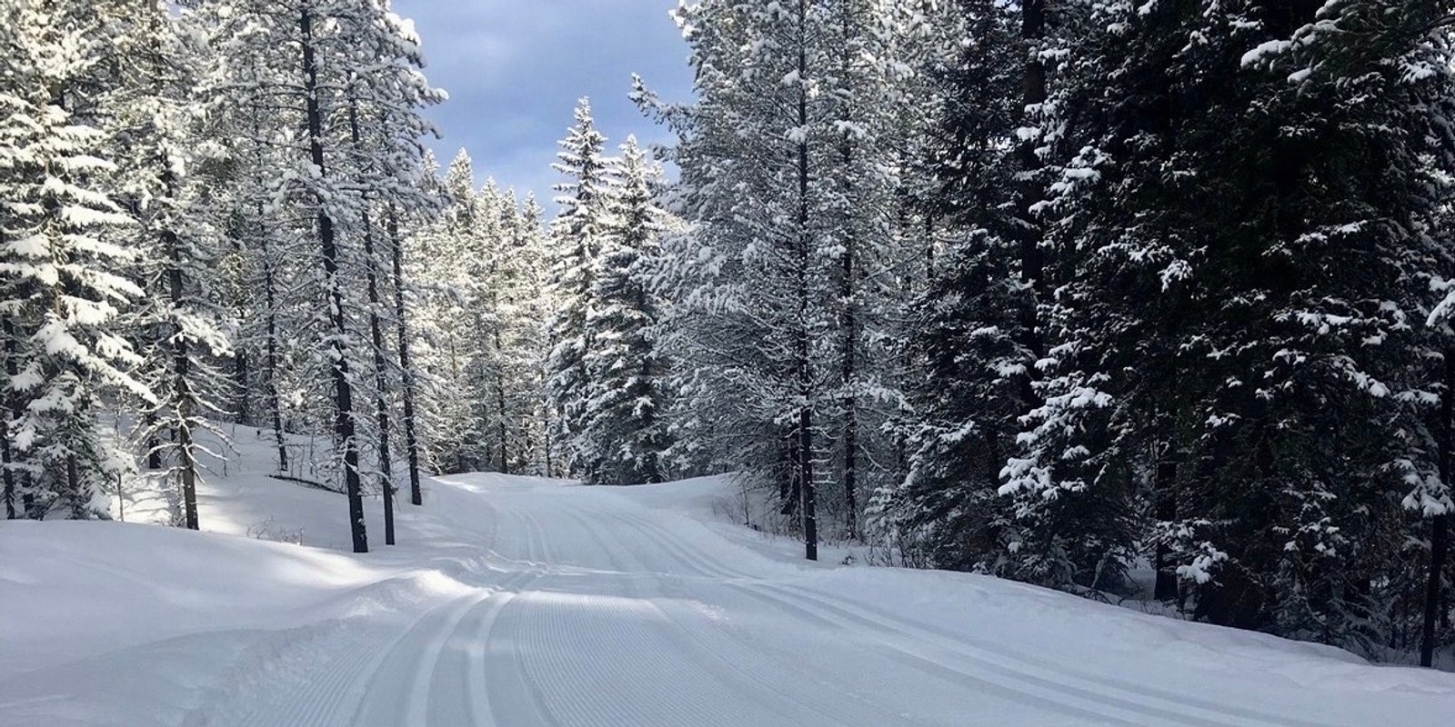 Cross country skiing at West Bragg Creek