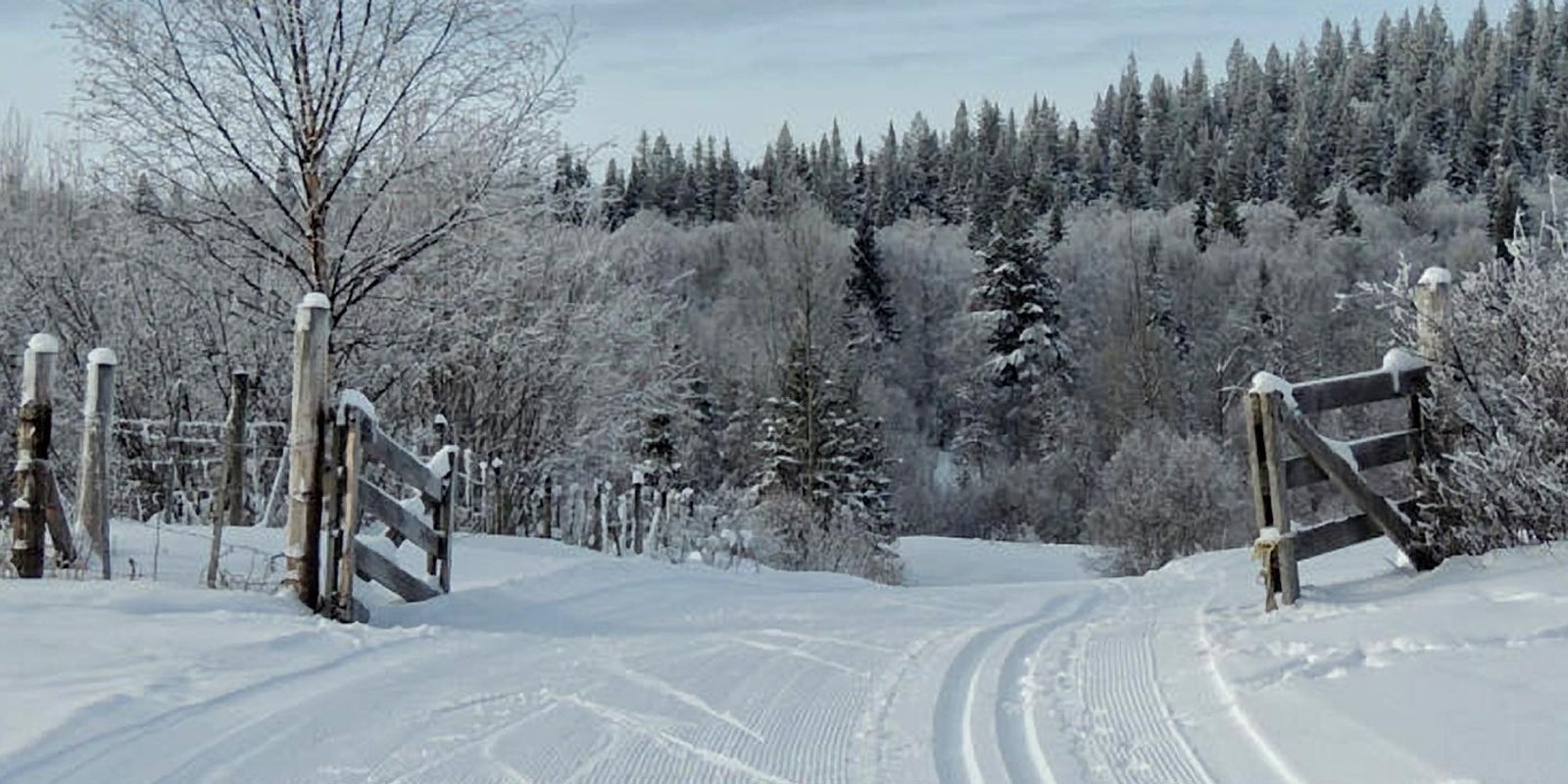 Cross country skiing at Cariboo Ski Touring Club