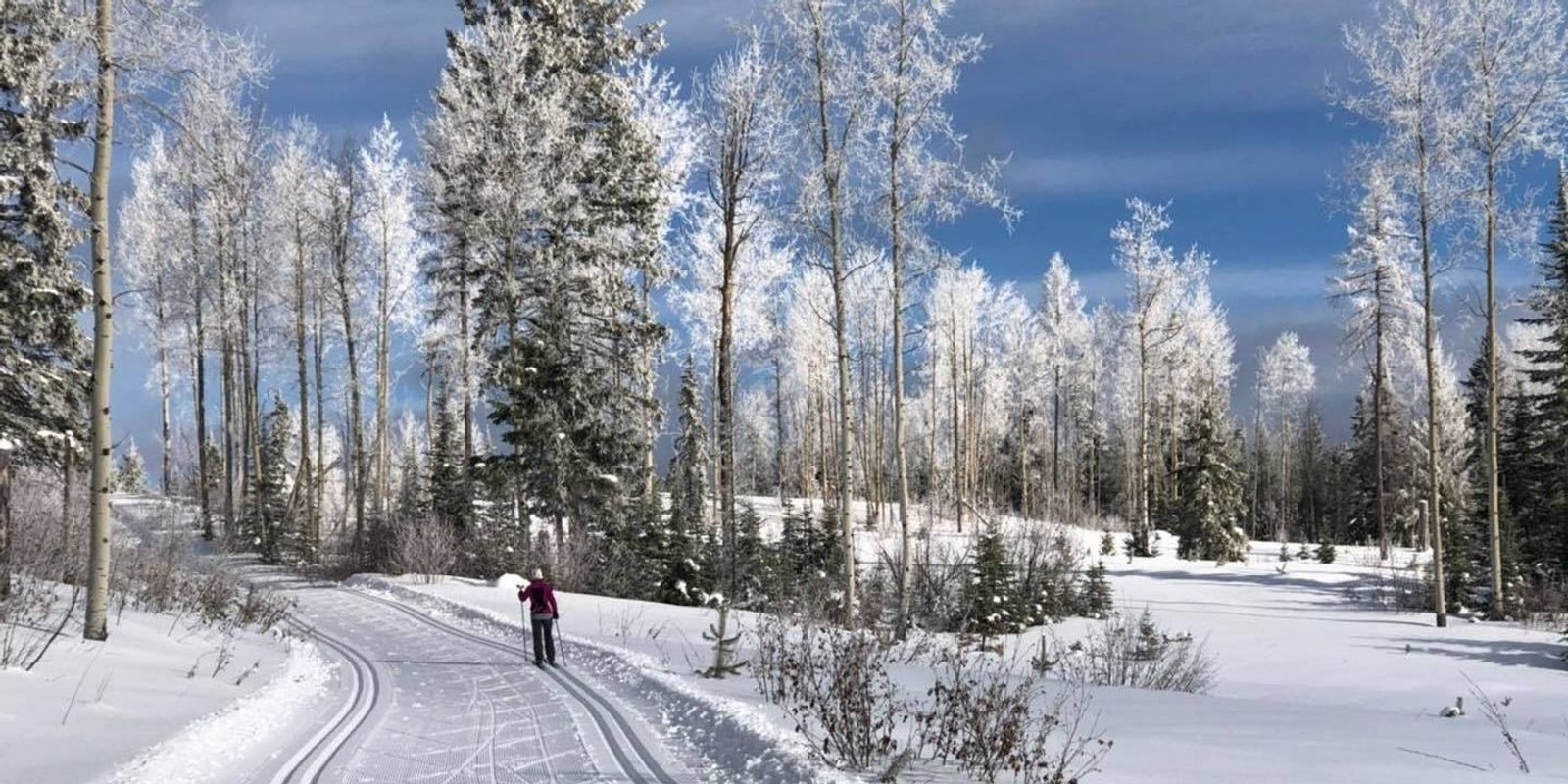 Cross country skiing at Kelowna Nordic