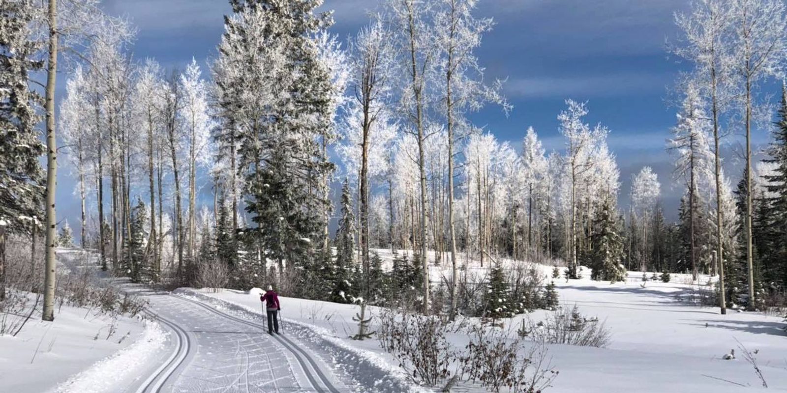 Nordic Pulse Kelowna Nordic Grooming Report