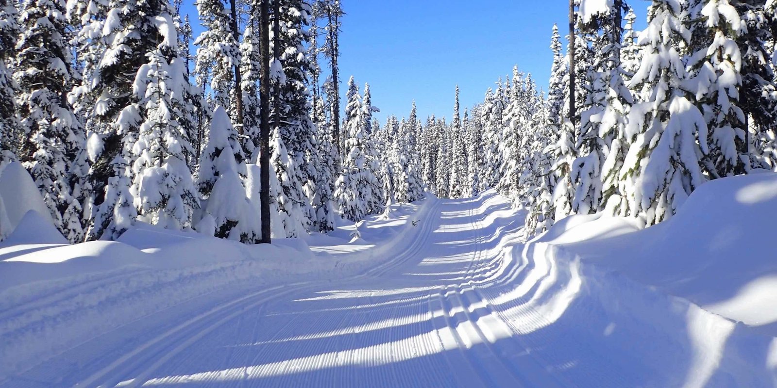 Cross country skiing at Morice Mountain Nordic Ski Club