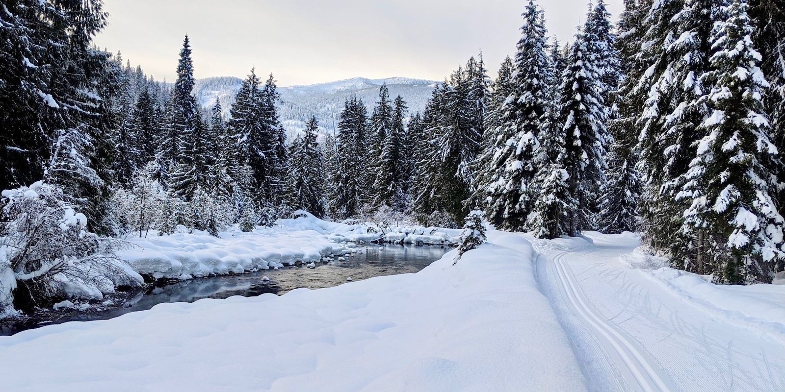 Cross country skiing at Nelson Nordic Ski Club