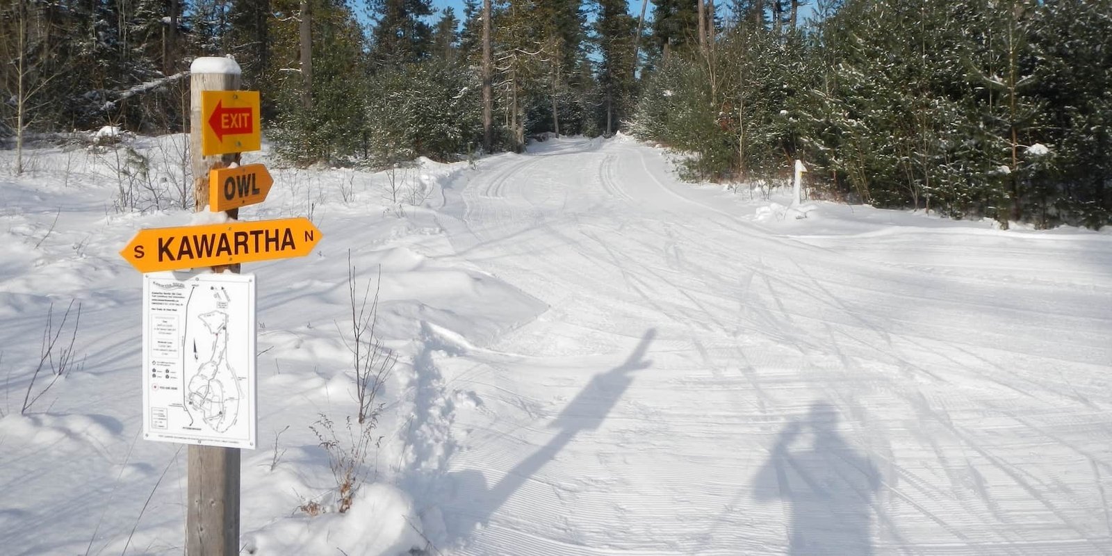 Cross country skiing at Kawartha Nordic