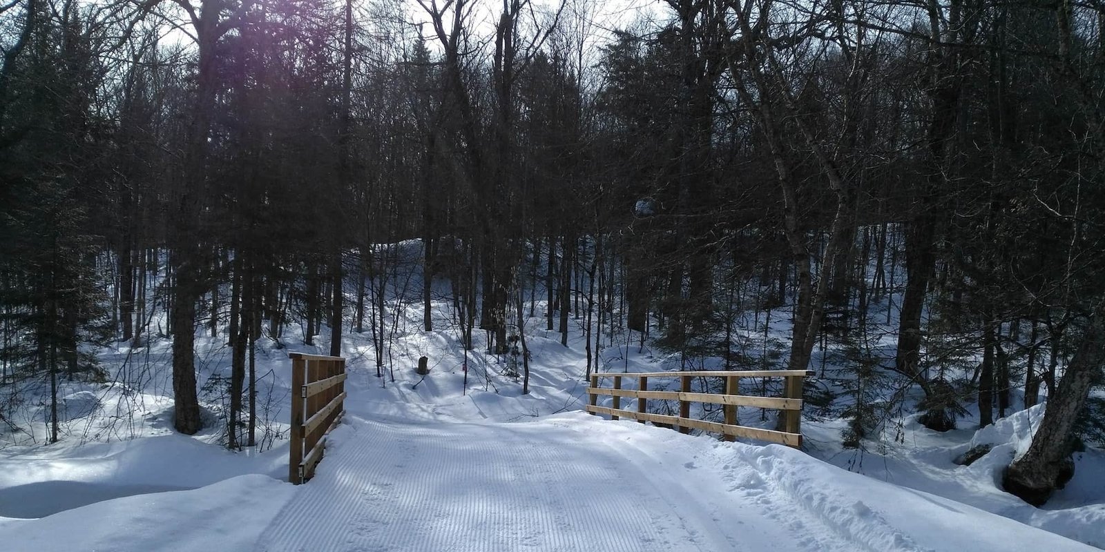 Cross country skiing at Viking Ski Club