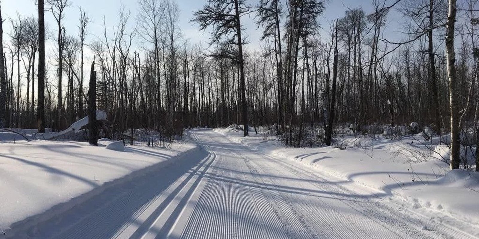 Cross country skiing at La Ronge Nordic Nut Point