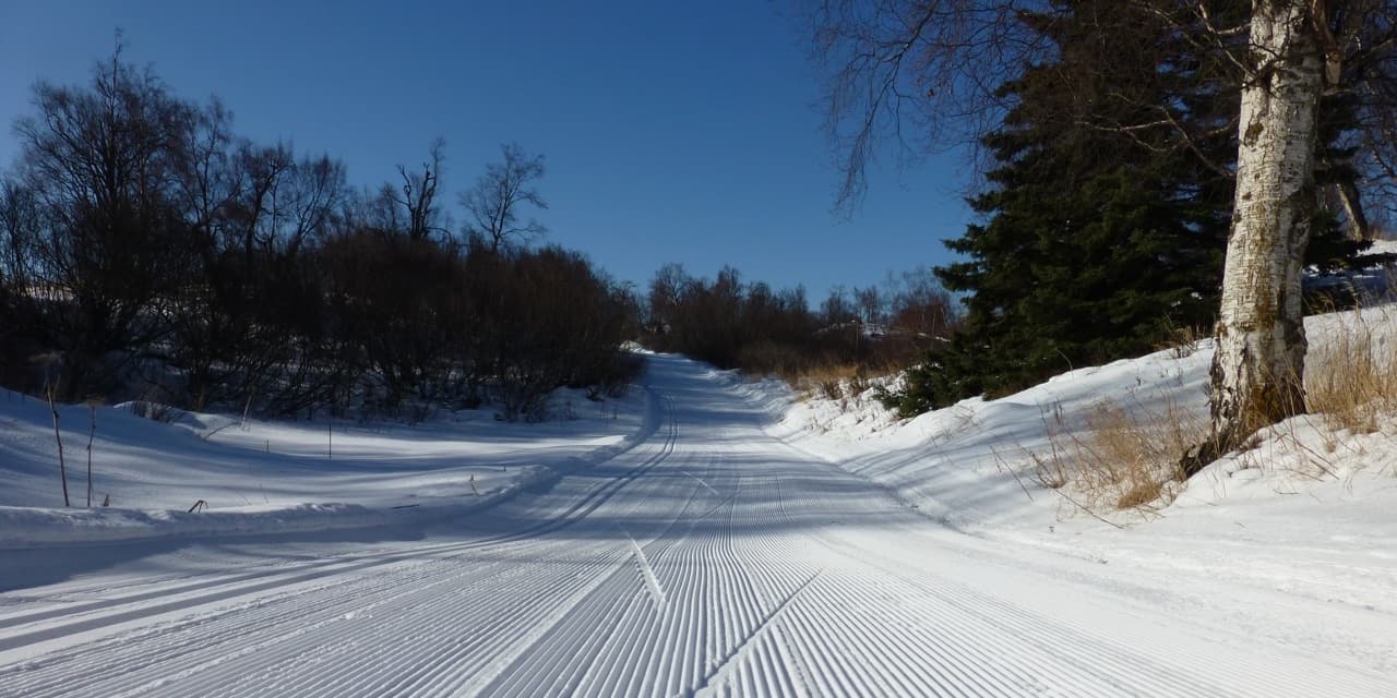 Cross country skiing at Kincaid Park