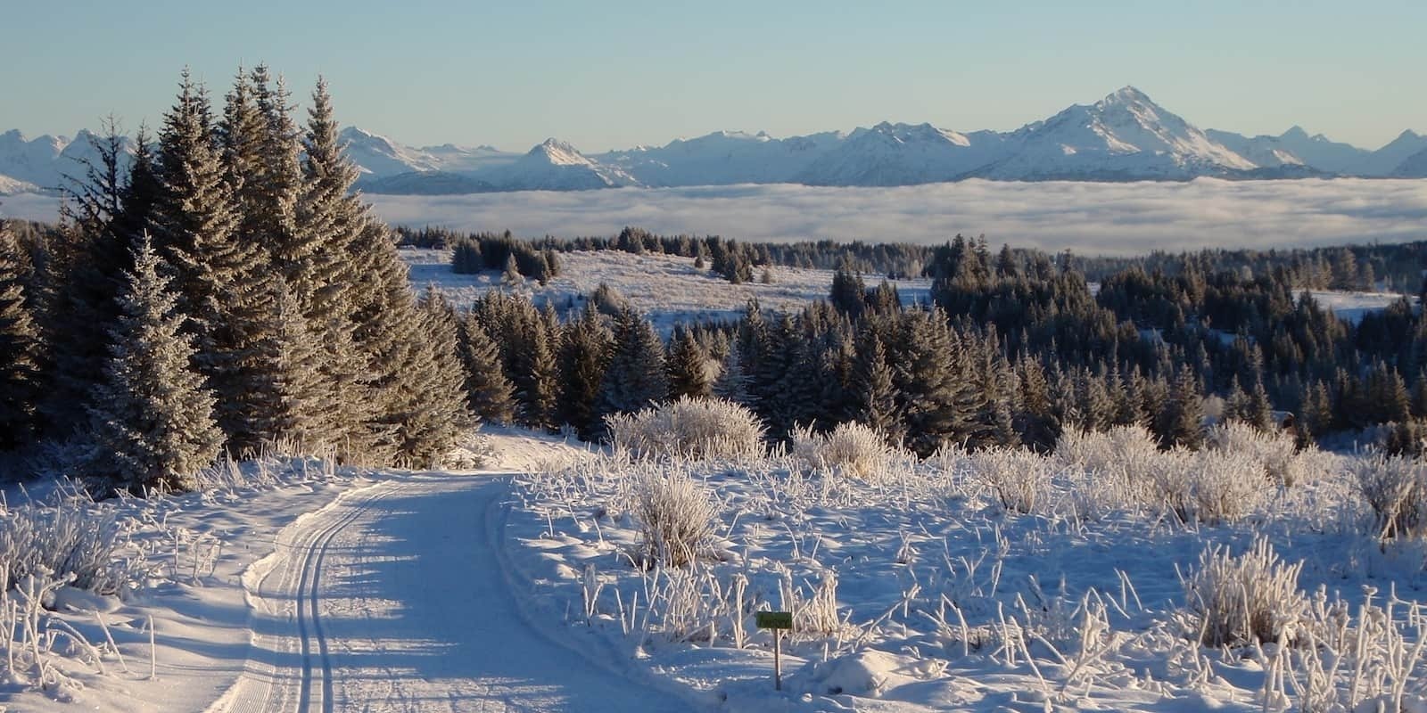 Cross country skiing at KNSC: Baycrest Trails