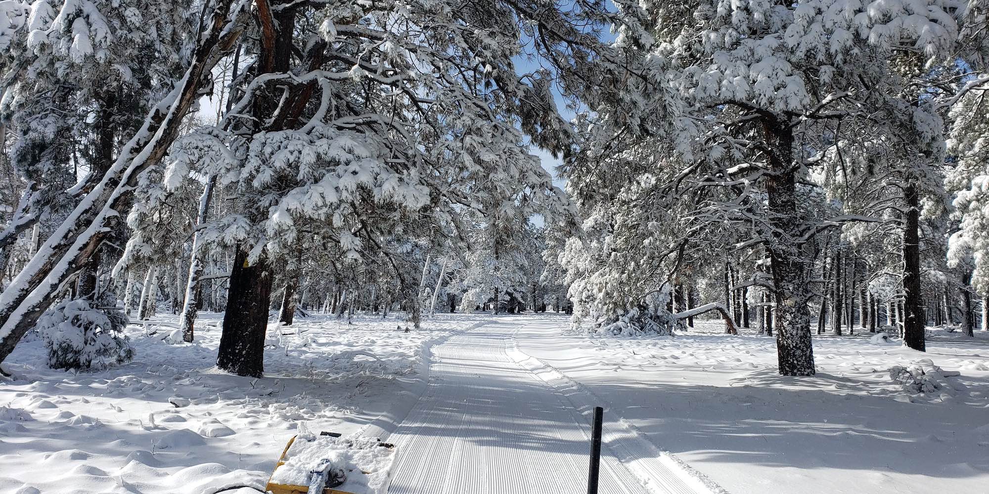 Cross country skiing at Arizona Nordic Village