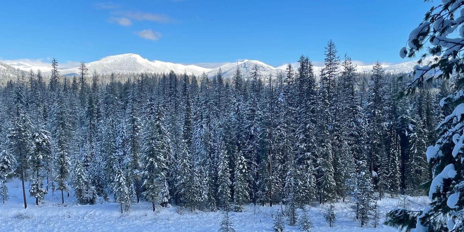 Cross country skiing at Priest Lake Nordic Chipmunk Rapids