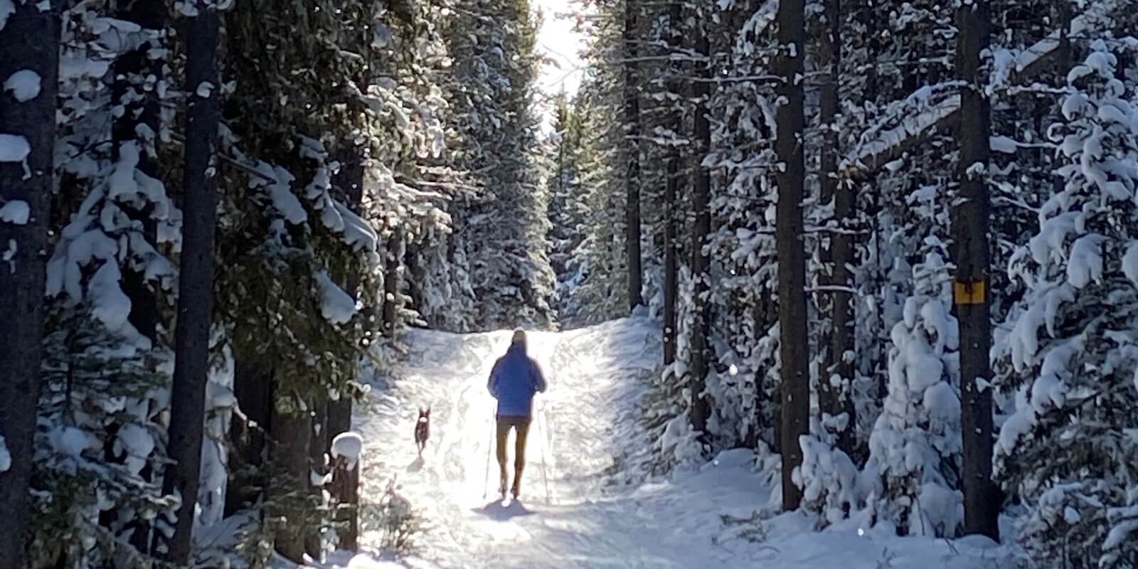 Cross country skiing at Hyalite