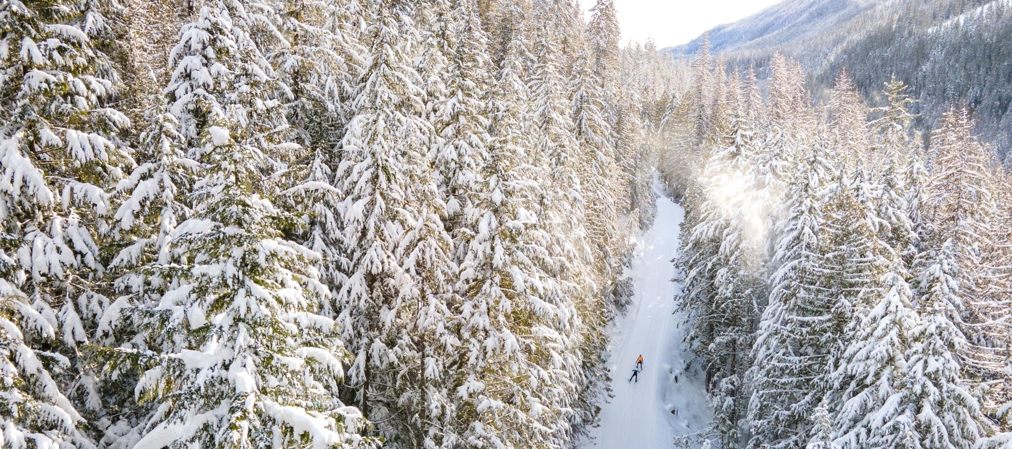 Clearwater ski trail in Nelson BC