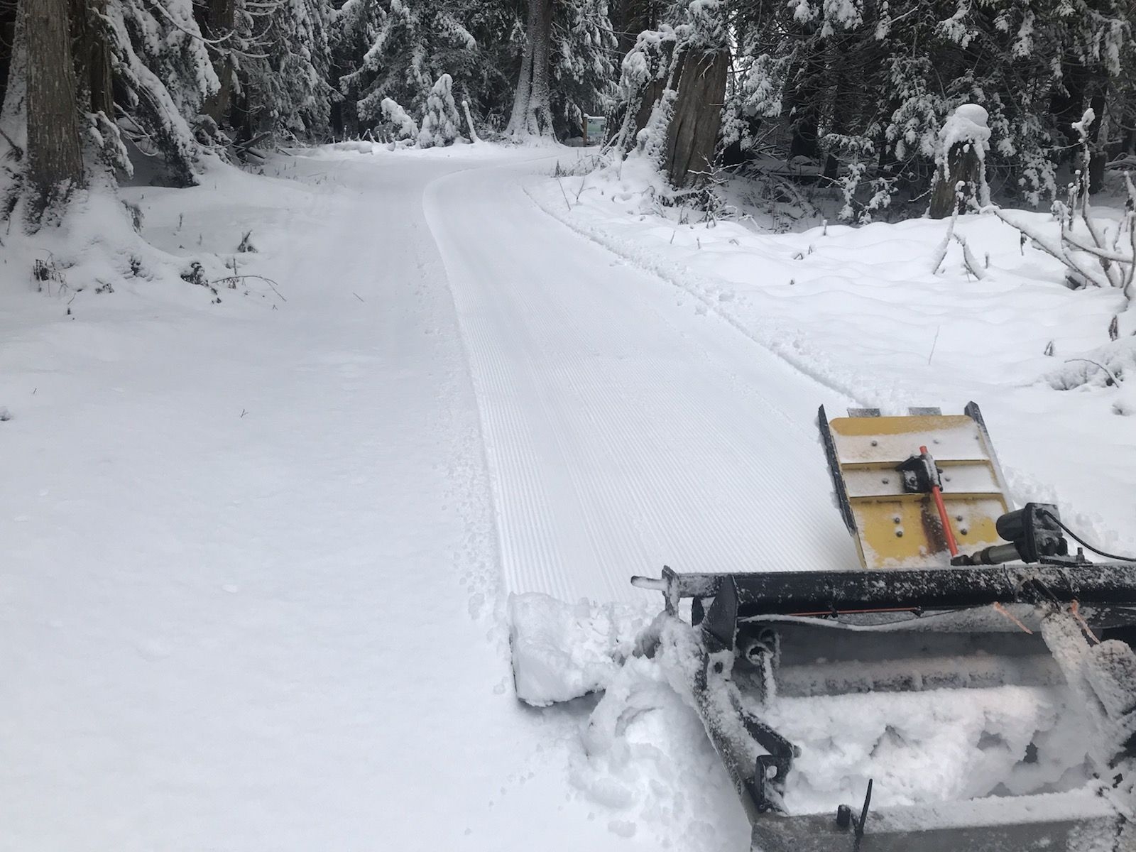 Nelson Nordic Ski Club