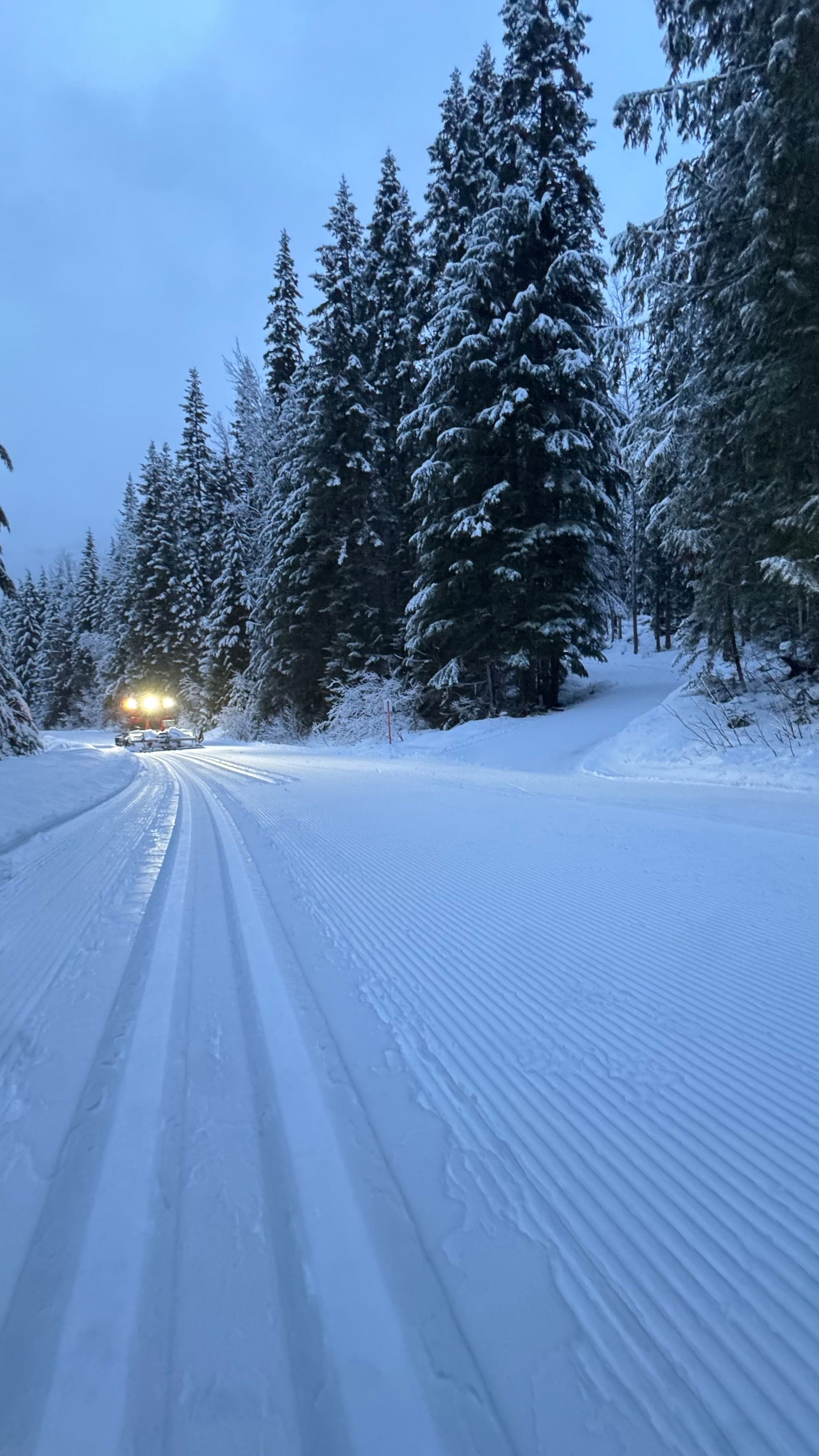 Nelson Nordic Ski Club Daily Grooming Report