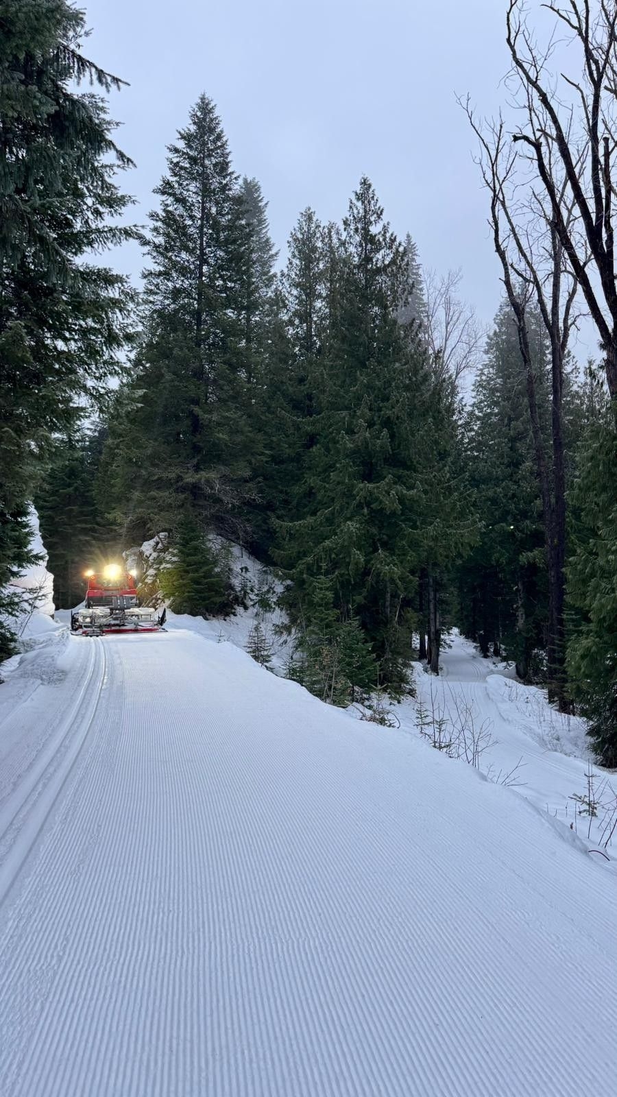 Nelson Nordic Ski Club Daily Grooming Report