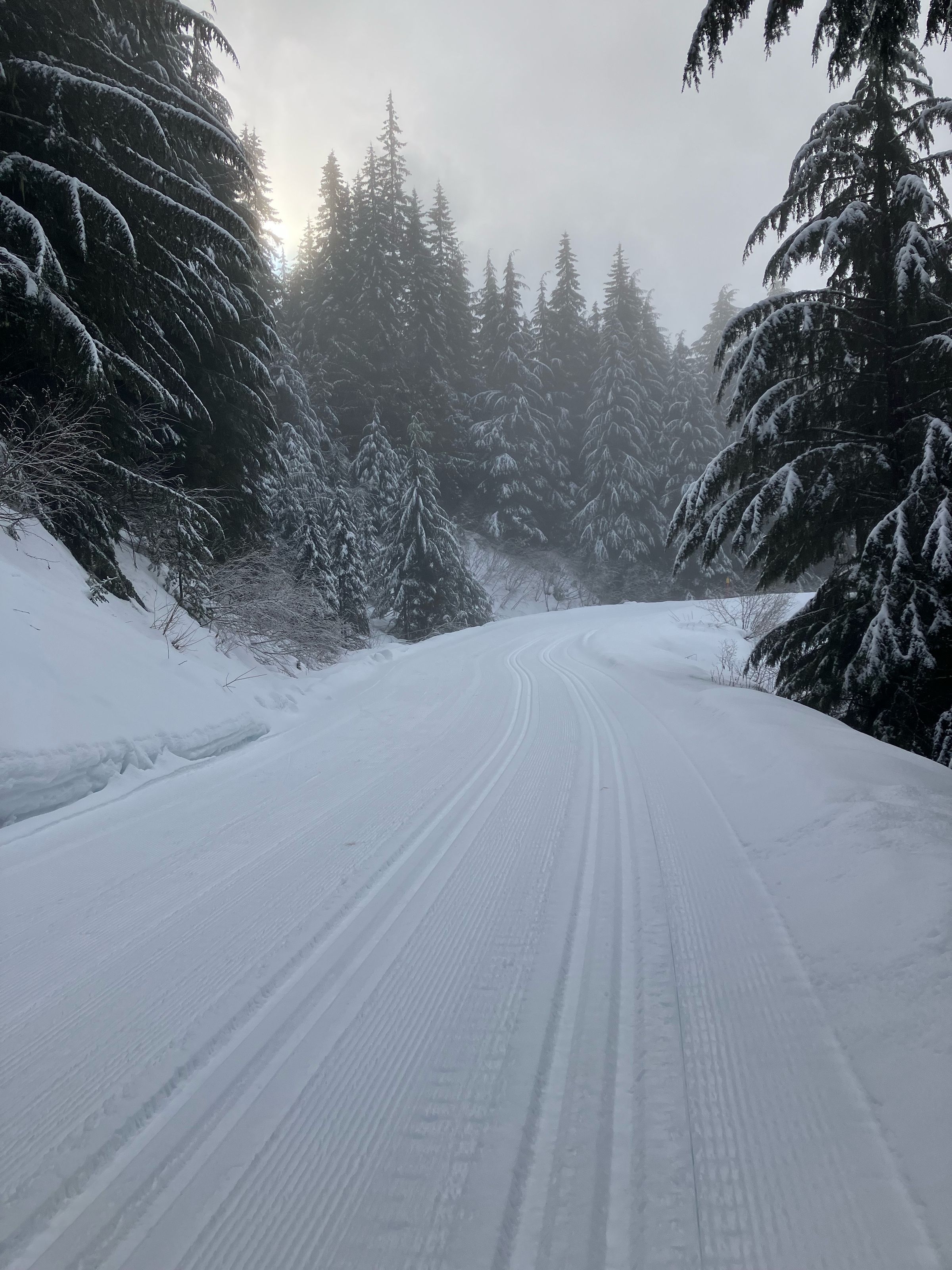 Nelson Nordic Ski Club Daily Grooming Report