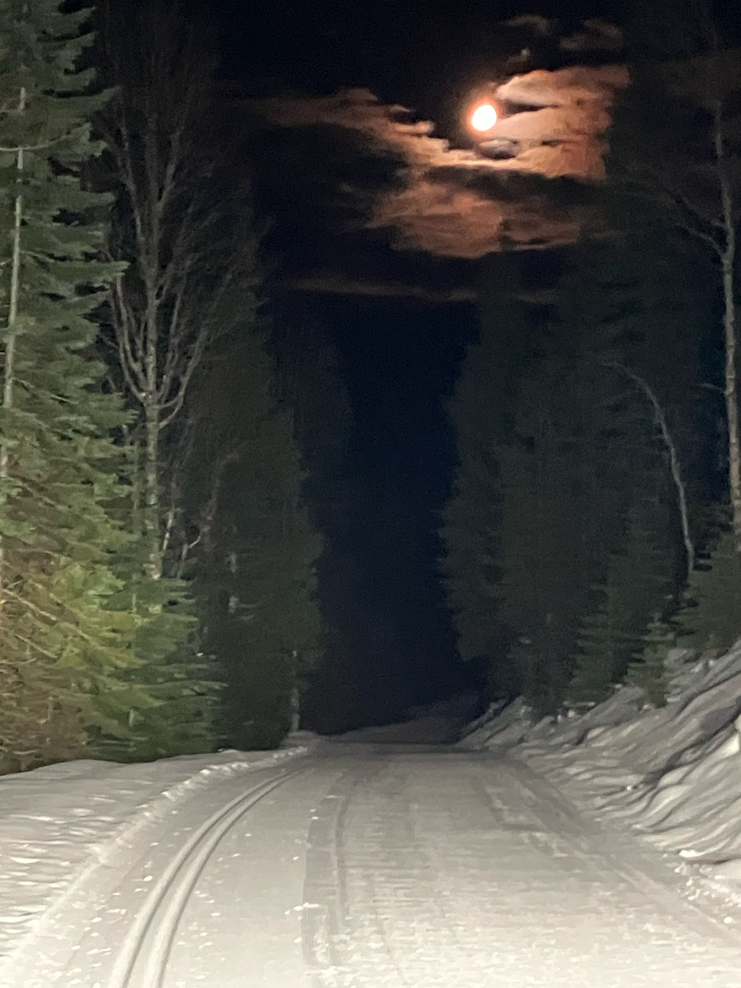 Nelson Nordic Ski Club Daily Grooming Report