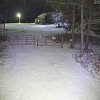 Valley Trail looking east