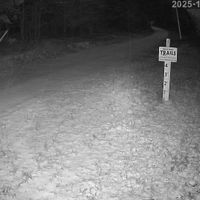 Valley Trail looking west